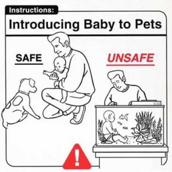 Baby Pet Introduction